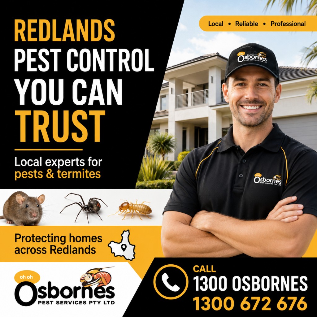 Meta Ads creative example 2